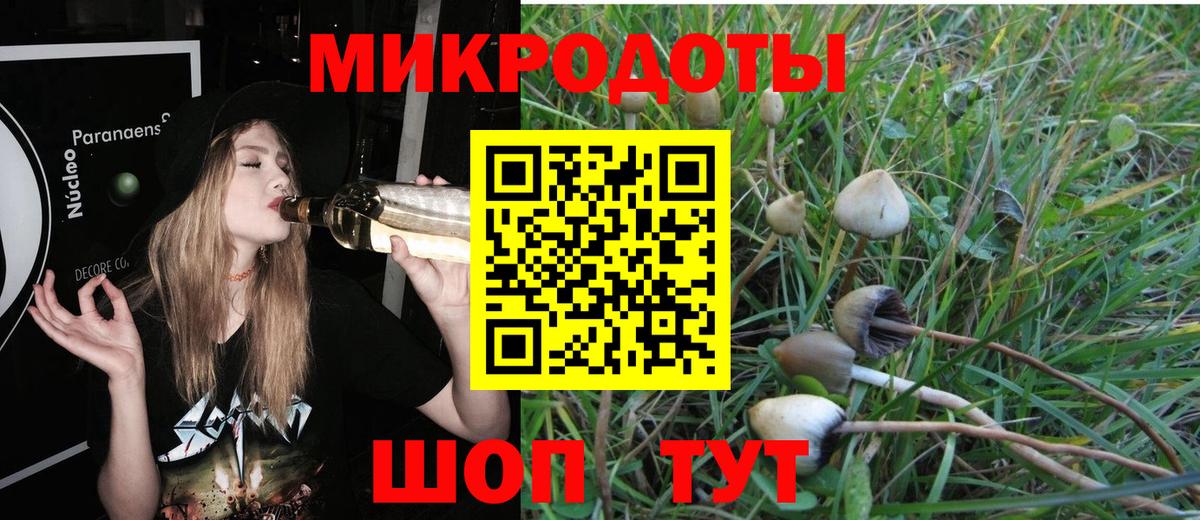 Псилоцибиновые грибы прущие грибы  Вход с VPN  Галлюциногенные грибы Psilocybine cubensis  Городец 