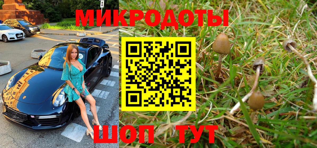 Галлюциногенные грибы MAGIC MUSHROOMS Городец